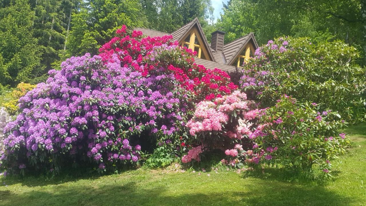Chalet Bellevue Rogla Zreče Екстериор снимка
