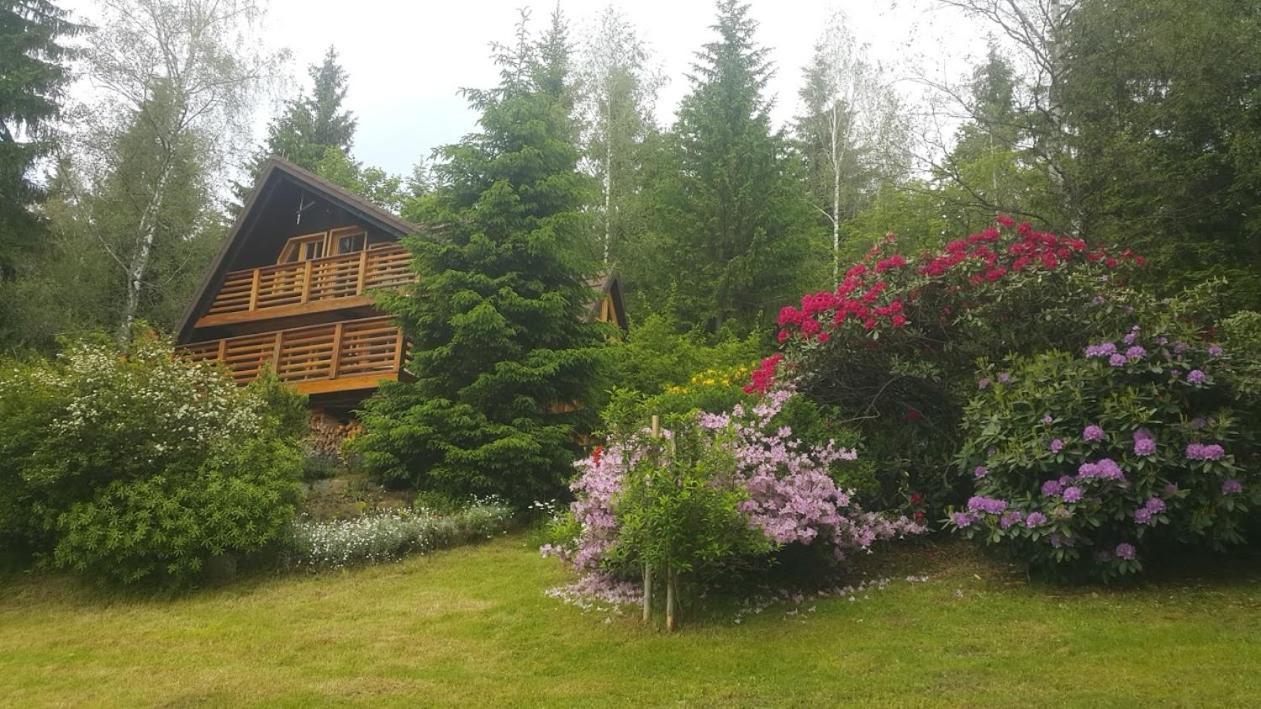 Chalet Bellevue Rogla Zreče Екстериор снимка